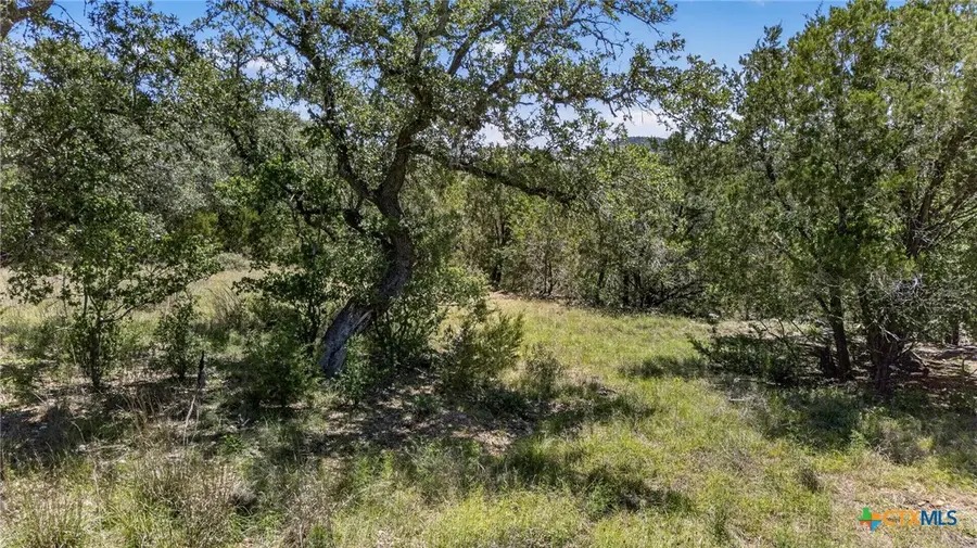 600 Lorne Road, Canyon Lake, TX 78133 - #2