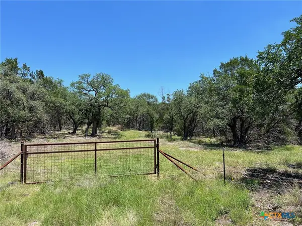 TBD Forest View Drive #1, Blanco, TX 78606