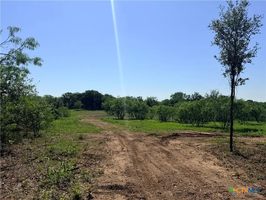 TBD Fm 86, Luling, TX 78648 - #2