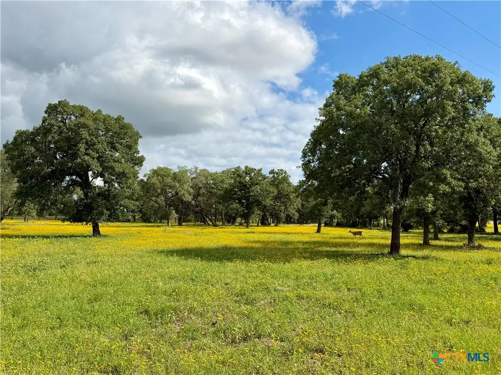 15631 Fm 682 - Tract A, Yoakum, TX 77995 - #1