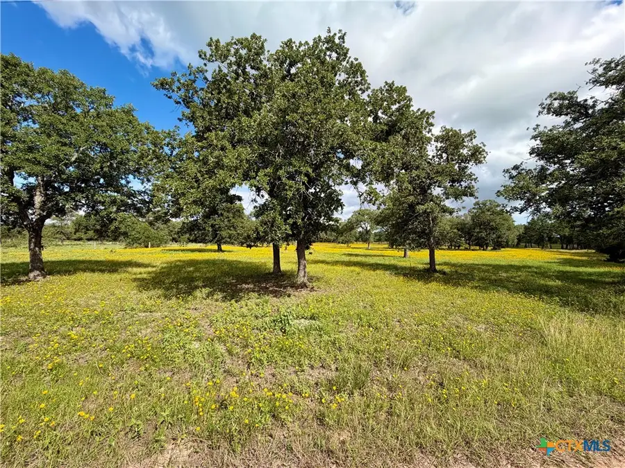 15631 Fm 682 - Tract A, Yoakum, TX 77995 - #3