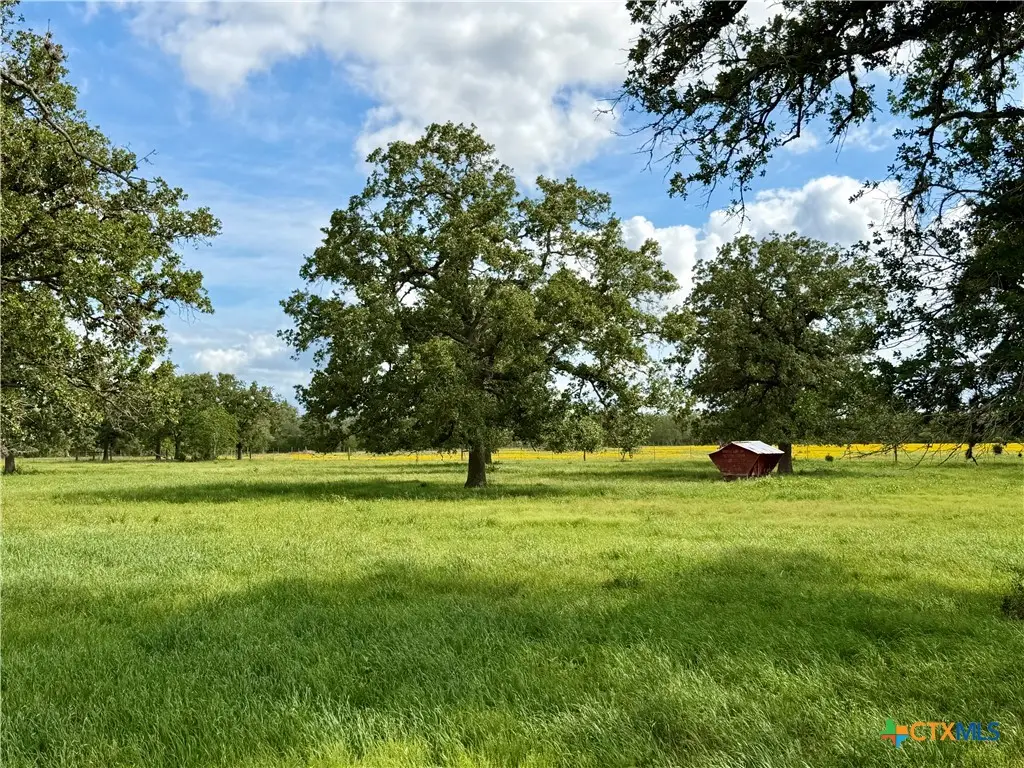 15631 Fm 682 - Tract B, Yoakum, TX 77995 - #1