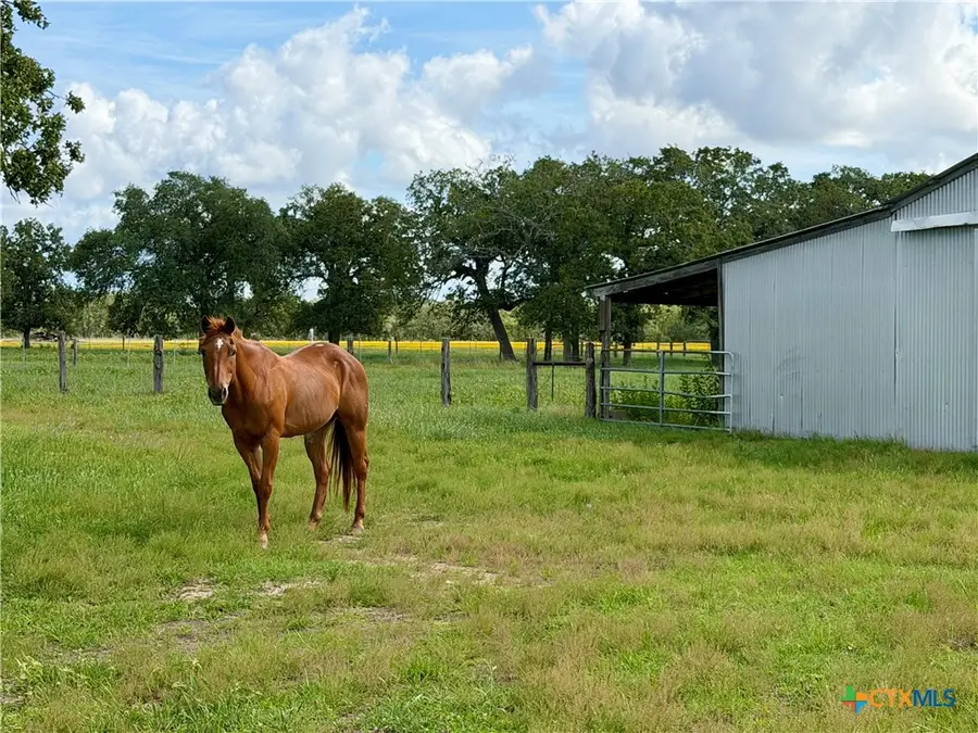 15631 Fm 682 - Tract B, Yoakum, TX 77995 - #2