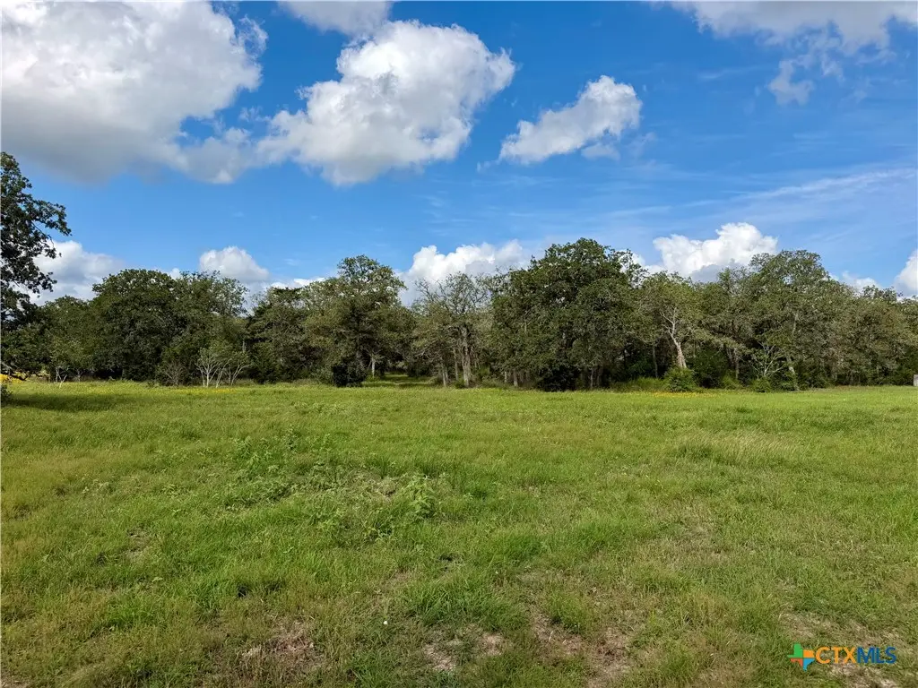 15631 Fm 682 - Tract D, Yoakum, TX 77995 - #1