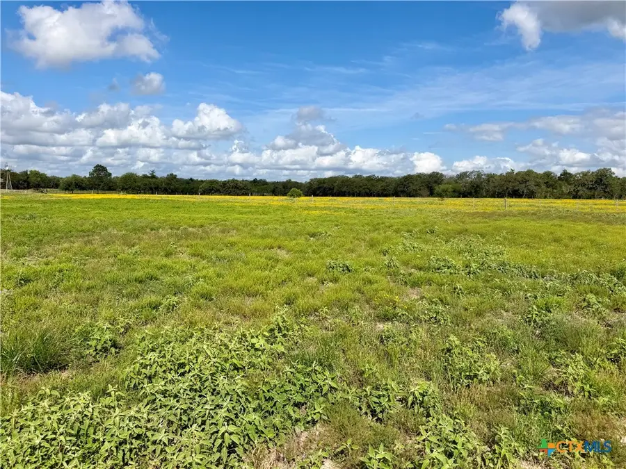 15631 Fm 682 - Tract D, Yoakum, TX 77995 - #3