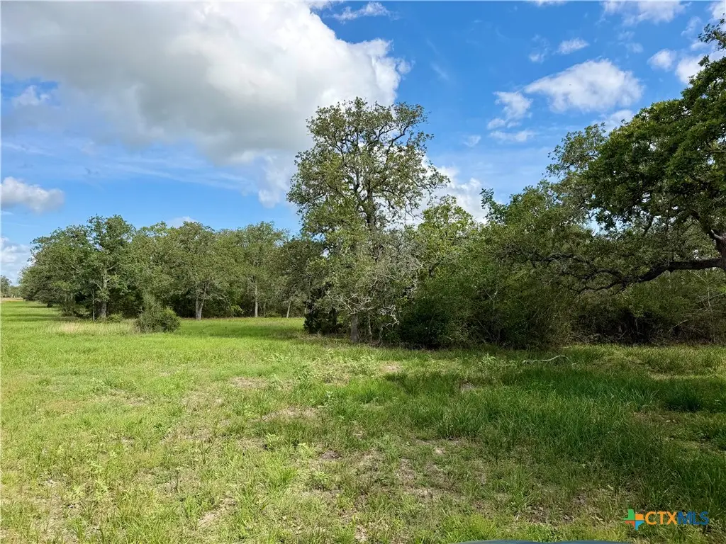 15631 Fm 682 - Tract E, Yoakum, TX 77995 - #1