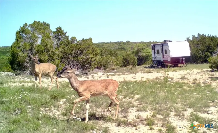TBD Cumberland Trail, Killeen, TX 76549 - #2