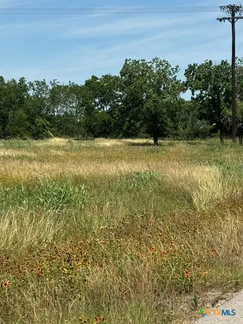 532 Old Gonzales Road, Cuero, TX 77954