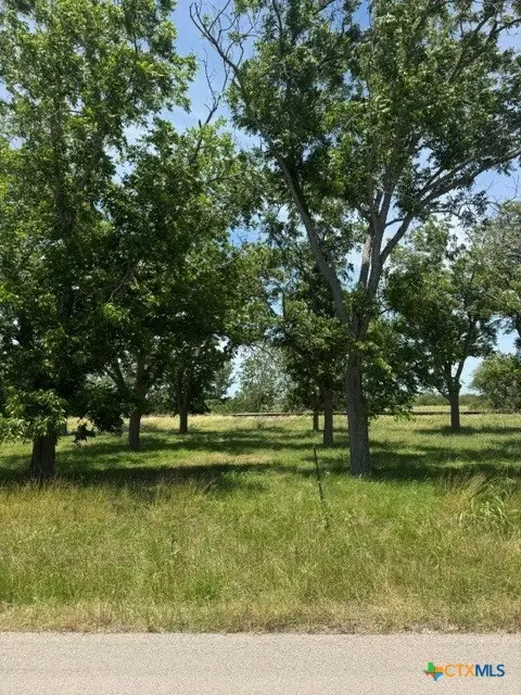 532 Old Gonzales Road, Cuero, TX 77954 - #3