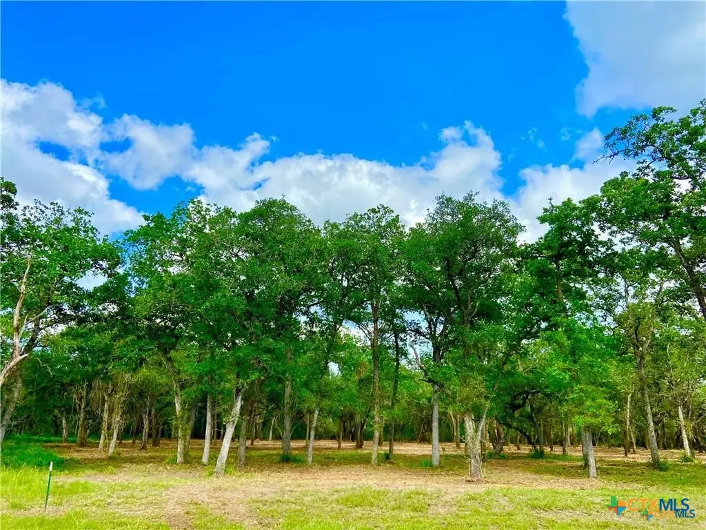208 Post Oak Road, Inez, TX 77968 - #1