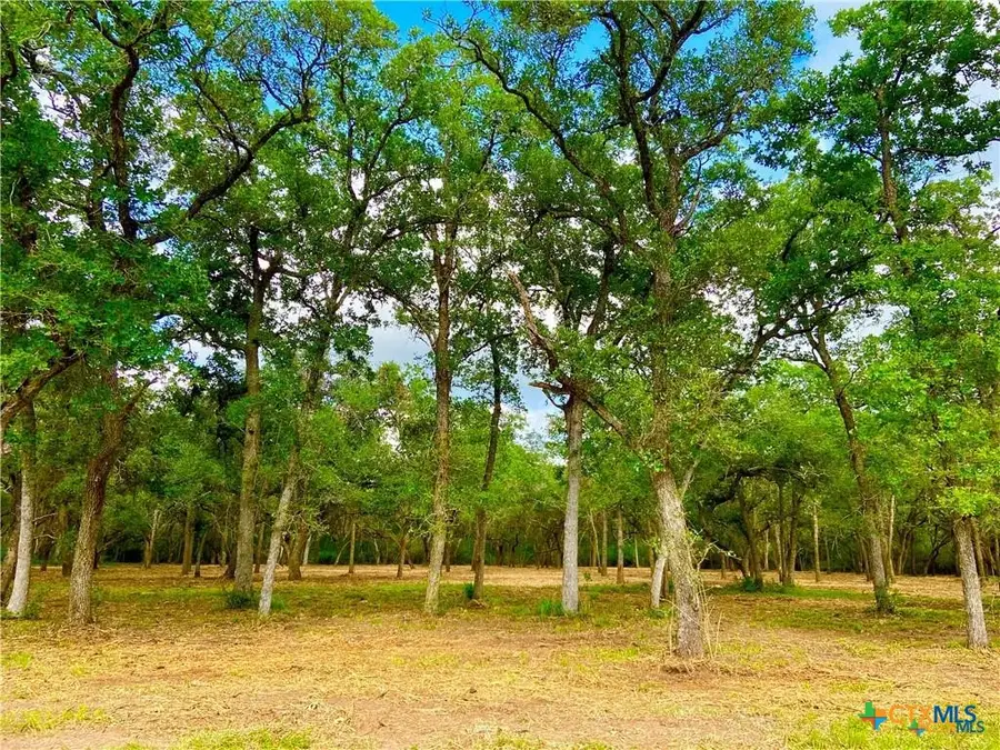 208 Post Oak Road, Inez, TX 77968 - #2