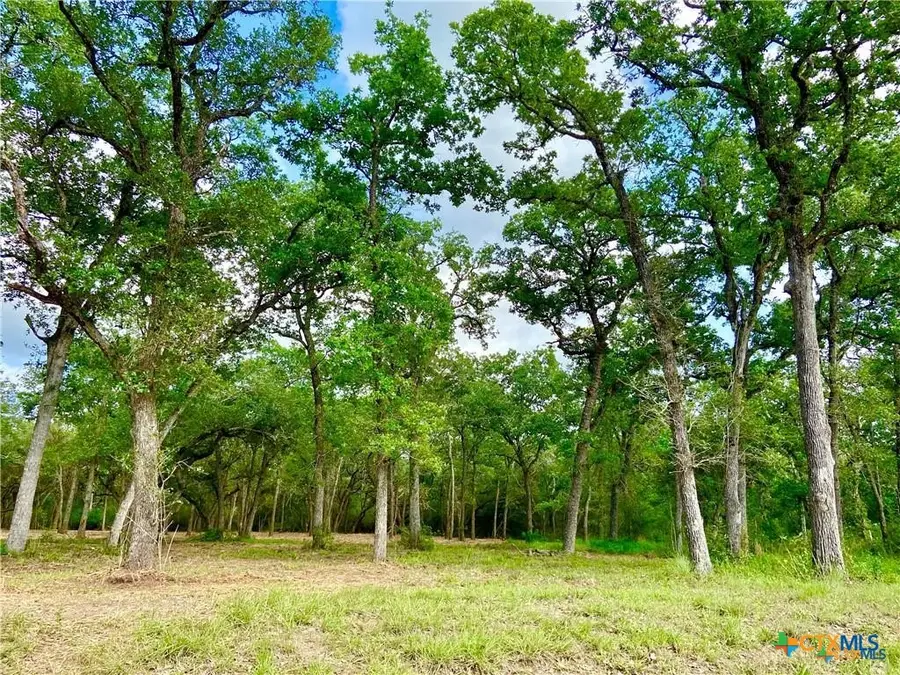 208 Post Oak Road, Inez, TX 77968 - #3