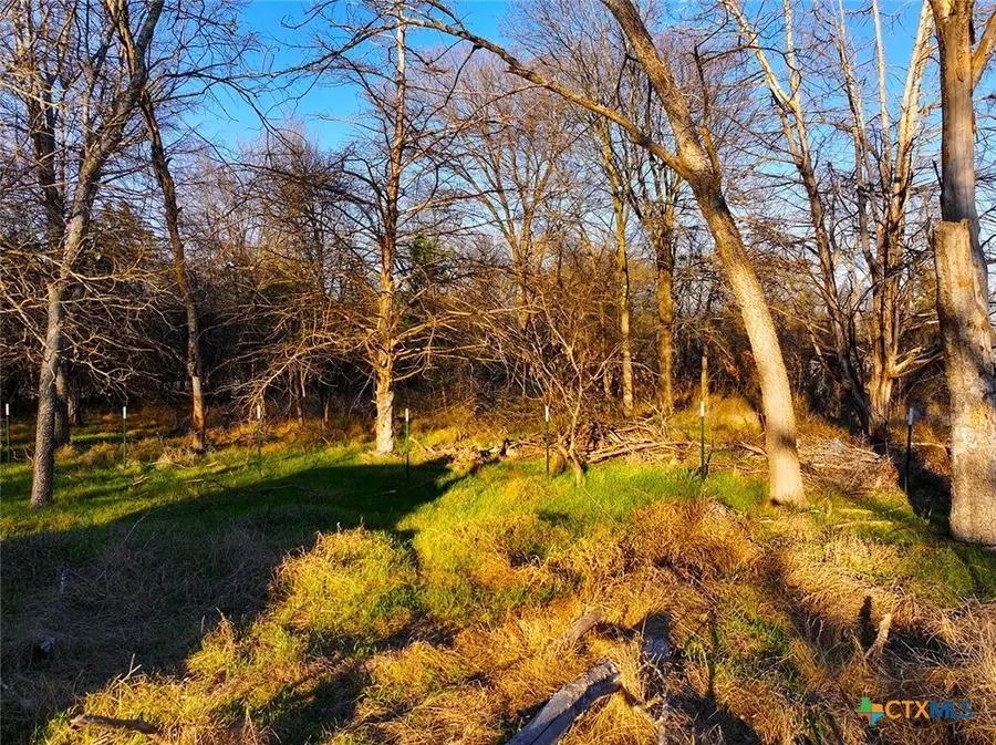 TBD NE Cr 3114, Purdon, TX 76679 - #3