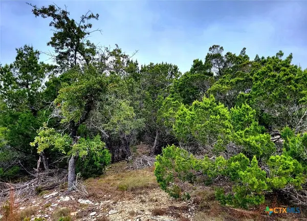 171 Appaloosa Drive, Fischer, TX 78623