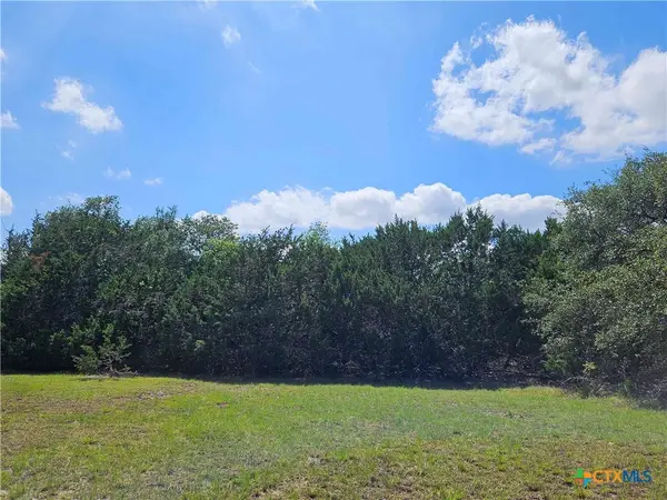 LOT 14 Cielo Springs Drive, Blanco, TX 78606