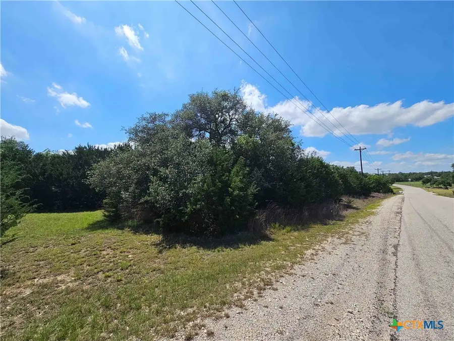 LOT 14 Cielo Springs Drive, Blanco, TX 78606 - #2