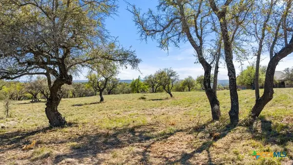 Lot 19 Stone Ridge Mountain Drive, Round Mountain, TX 78663