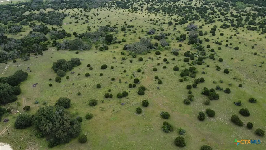 417 Blackjack Oak Drive, Goldthwaite, TX 76844 - #3