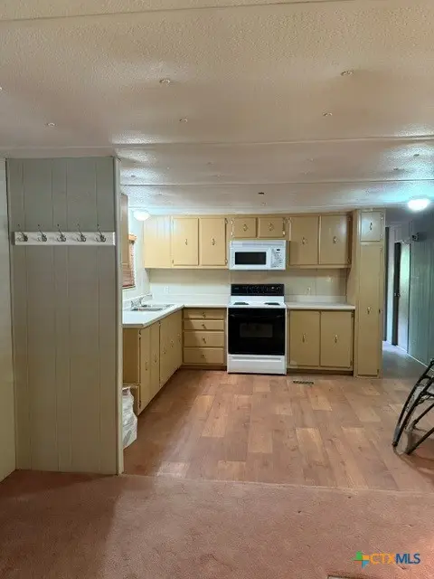 354 Placid Cove Drive, New Braunfels, TX 78130 - #3