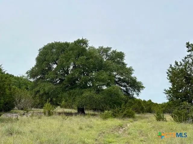 TBD County Road 3270, Kempner, TX 76539 - #2