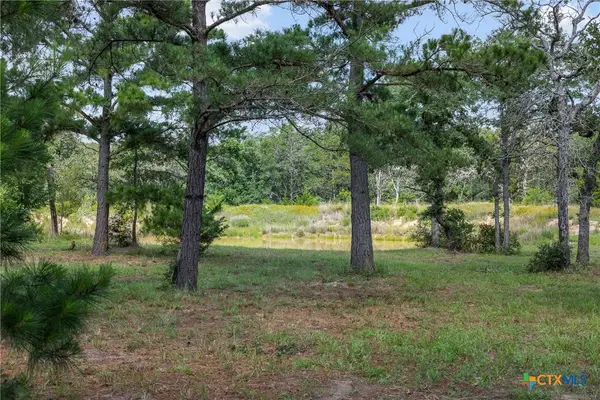 305 Cistern Road, Rosanky, TX 78953
