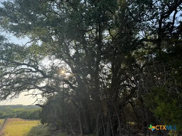 TBD County Road 2644, Lometa, TX 76853 - #3