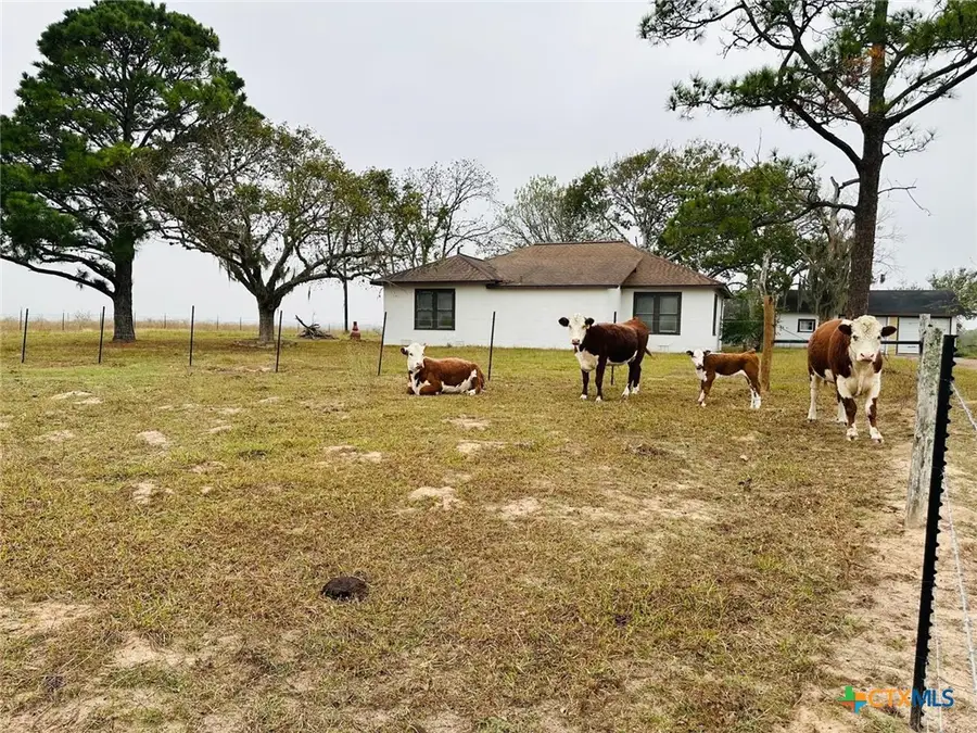 1696 E Fm 884, Yorktown, TX 78164 - #2