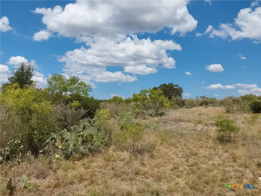 LOT 201 Sundance View Point, Spicewood, TX 78669 - #3