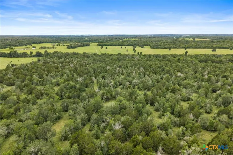 288 Charcoal Road, Waelder, TX 78959 - #2