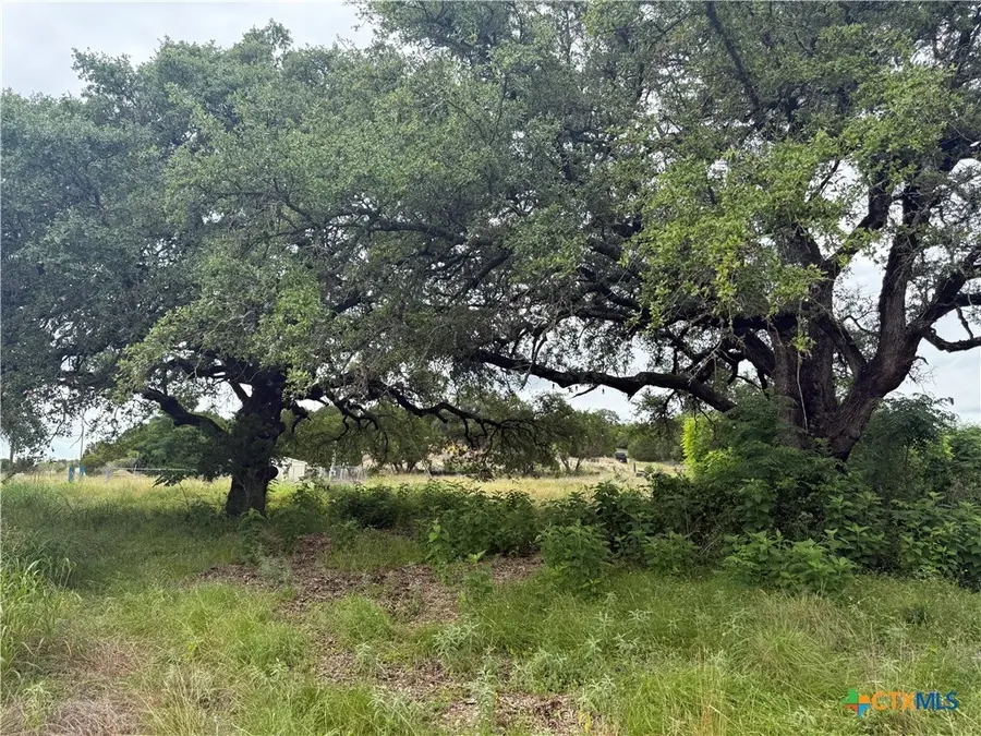 16350 Cedar Valley Road, Salado, TX 76571 - #3