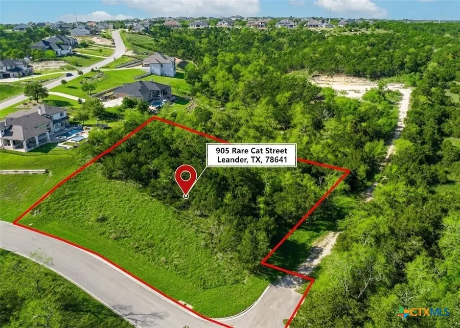 905 Rare Cat Street, Leander, TX 78641 - #3