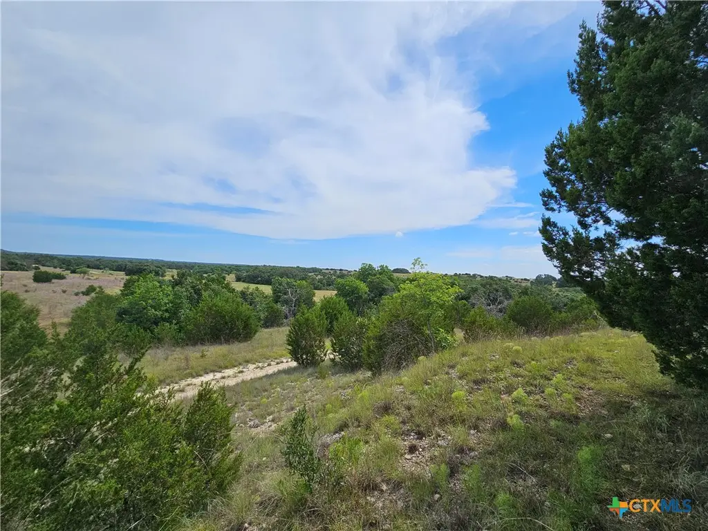 TBD Lot 64 Fm 580 E 0123, Lampasas, TX 76550 - #1