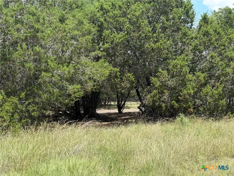 317 County Road 3062, Lampasas, TX 76550 - #3
