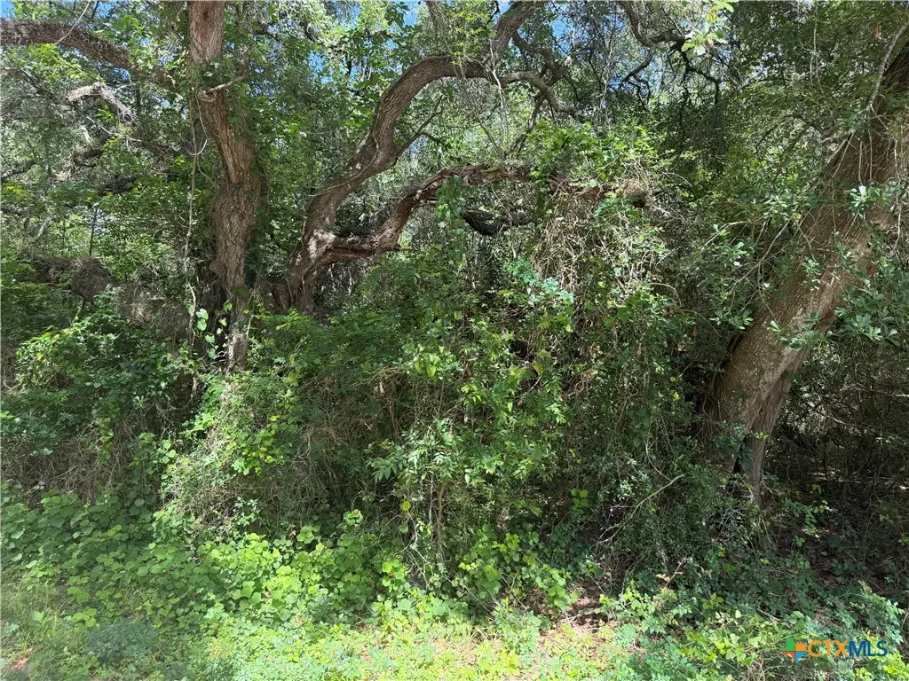 Lot 529 Grand Oak Street, Palacios, TX 77465 - #1