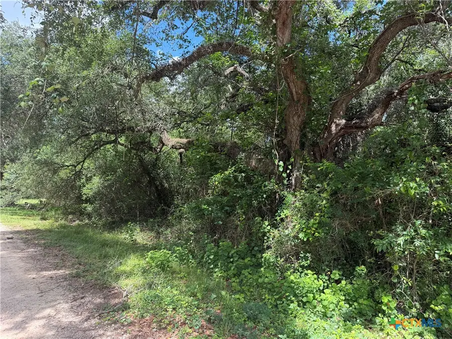 Lot 529 Grand Oak Street, Palacios, TX 77465 - #2