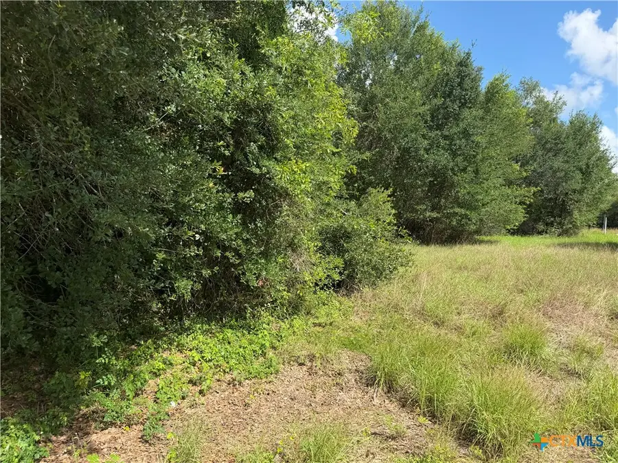Lot 529 Grand Oak Street, Palacios, TX 77465 - #3