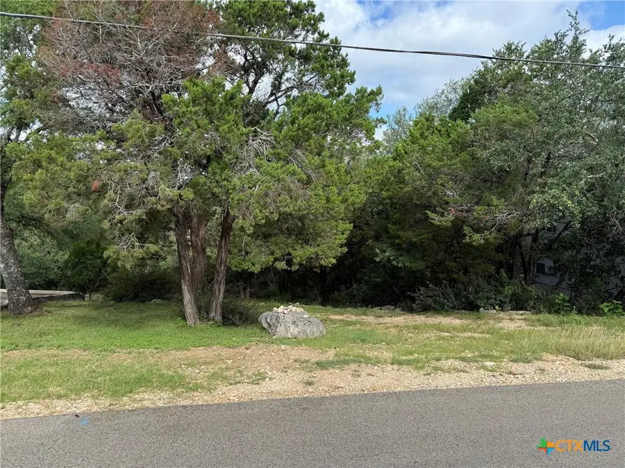 295 Nancy Drive, Canyon Lake, TX 78133 - #2