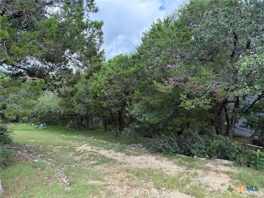 295 Nancy Drive, Canyon Lake, TX 78133 - #3