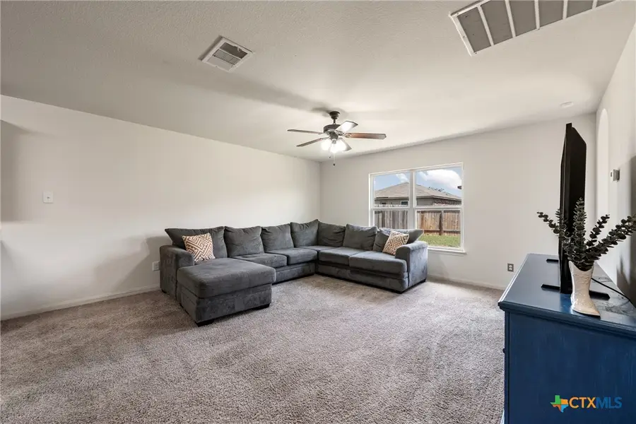 109 Proclamation Avenue, Liberty Hill, TX 78642 - #3