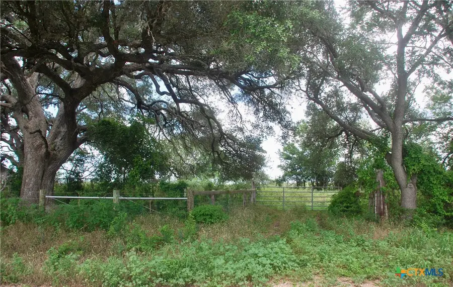 TBD Fm 531, Sweet Home, TX 77987 - #3