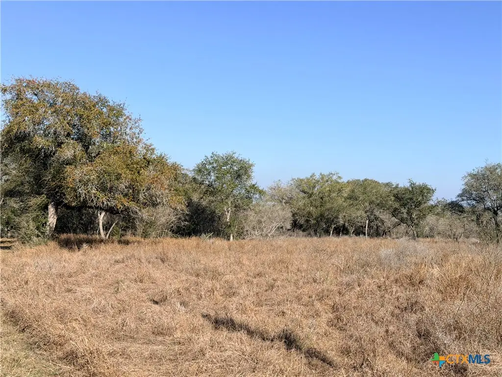 1776 Fm 1351, Goliad South, TX 78746 - #1