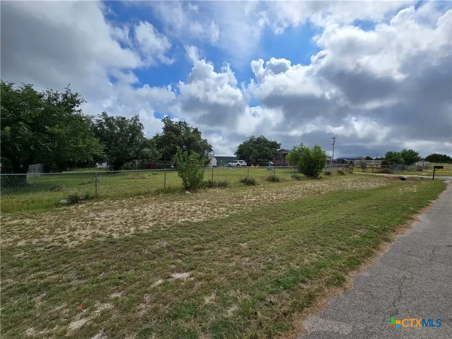 1504 Quail Meadows Drive, Kempner, TX 76539 - #2