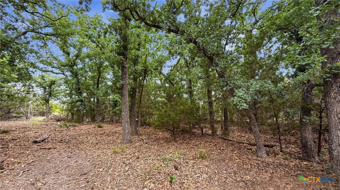 Lot 97 Ph 6 Pr 42101, Evant, TX 76566 - #1