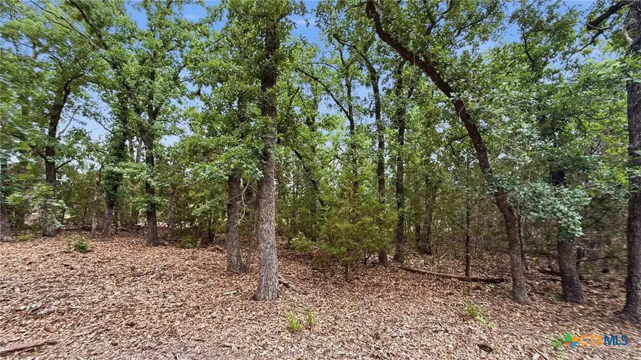 Lot 97 Ph 6 Pr 42101, Evant, TX 76566 - #2