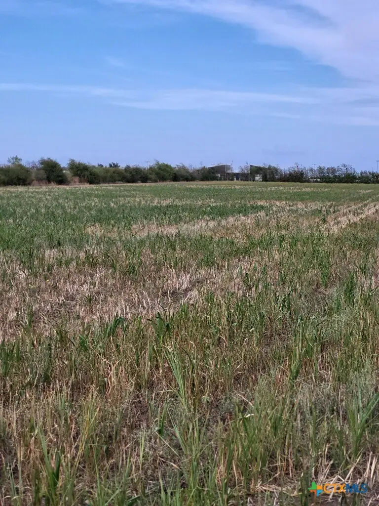 1701 W Fm 487, Jarrell, TX 76537 - #1