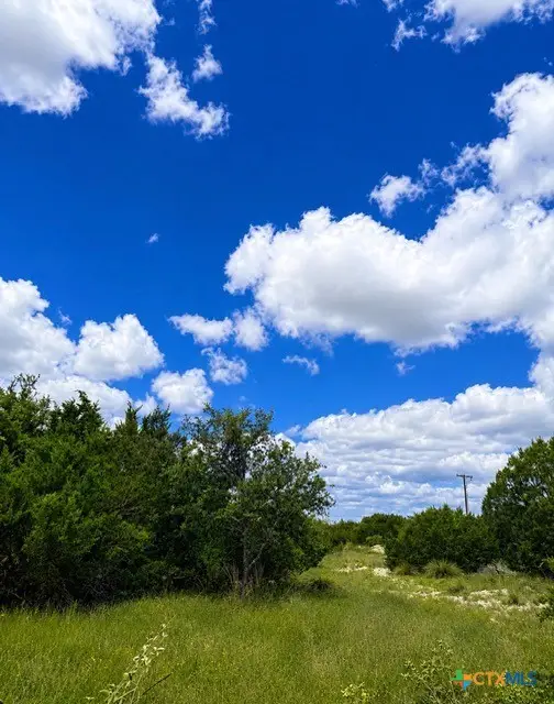 106 Saddle Drive, Copperas Cove, TX 76522 - #3