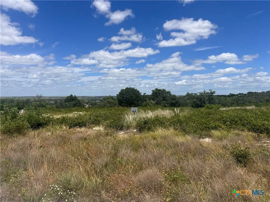 LOT 29 County Road 511, Hamilton, TX 76531 - #1