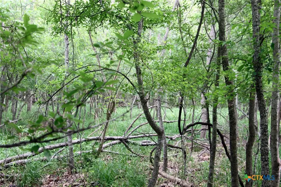 000 Brushy Branch Road, Lockhart, TX 78644 - #3
