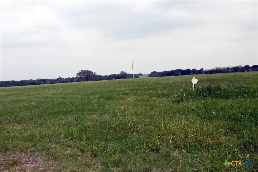 00 Brushy Branch Road, Lockhart, TX 78644 - #2