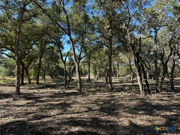 00 Bugle Lane, Victoria, TX 77905